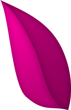 Pétalo Pink