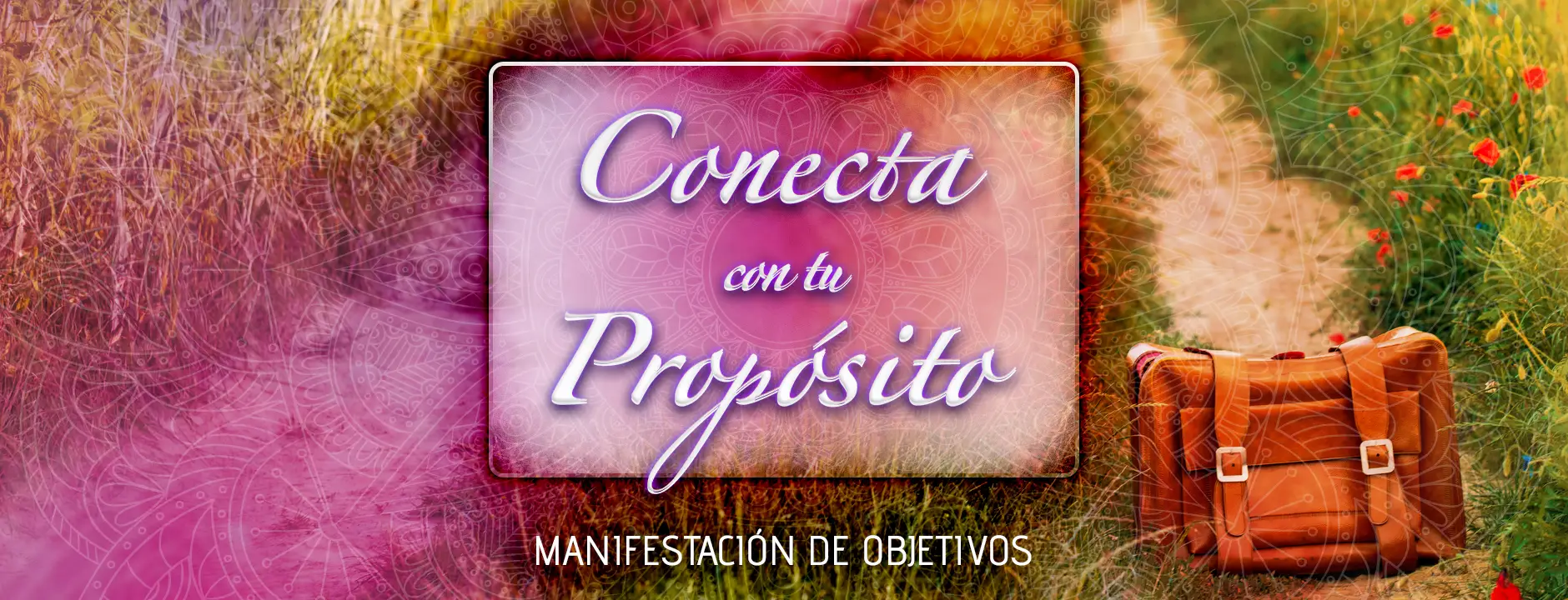 Conecta con tu Propósito